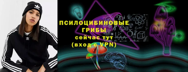 трава Беломорск