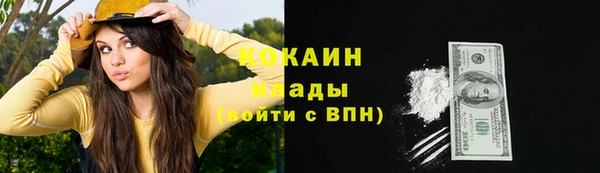 дмт Белокуриха