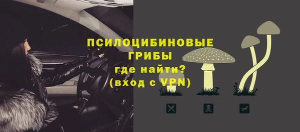 дмт Белокуриха