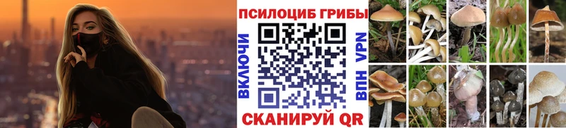 цены наркотик  kraken ONION  Псилоцибиновые грибы мухоморы  Тулун 