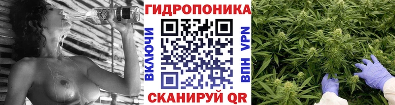 Шишки марихуана VHQ  как найти   Тулун 